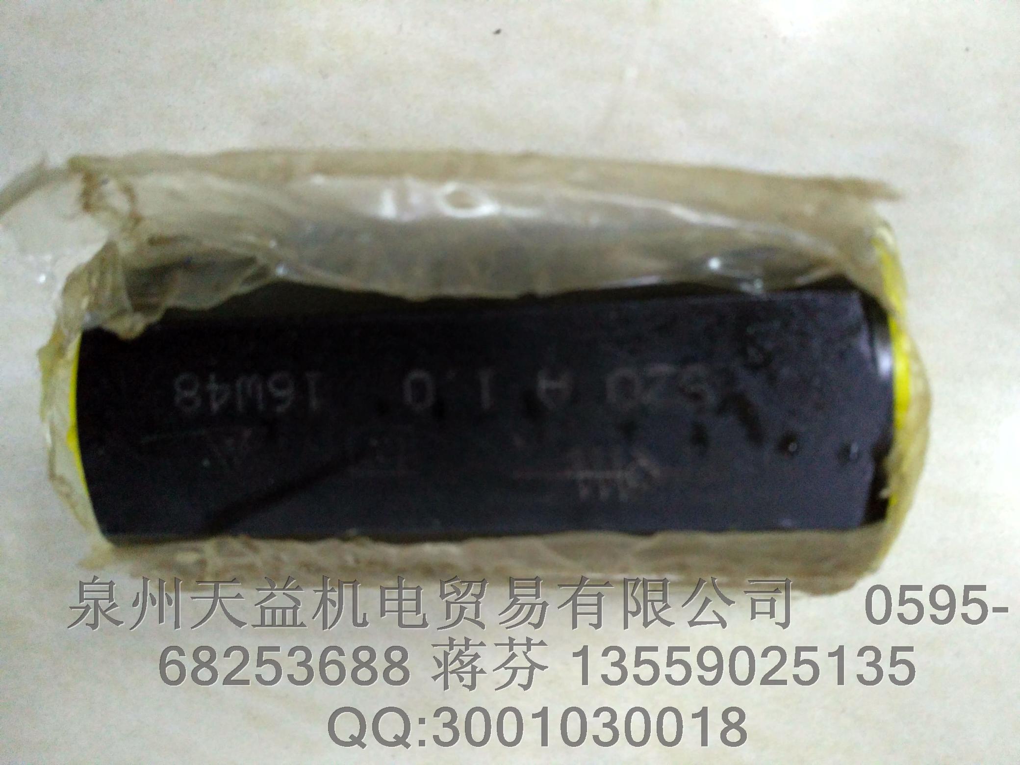 力士樂(lè)單向閥 SZ0 A 1.0.JPG
